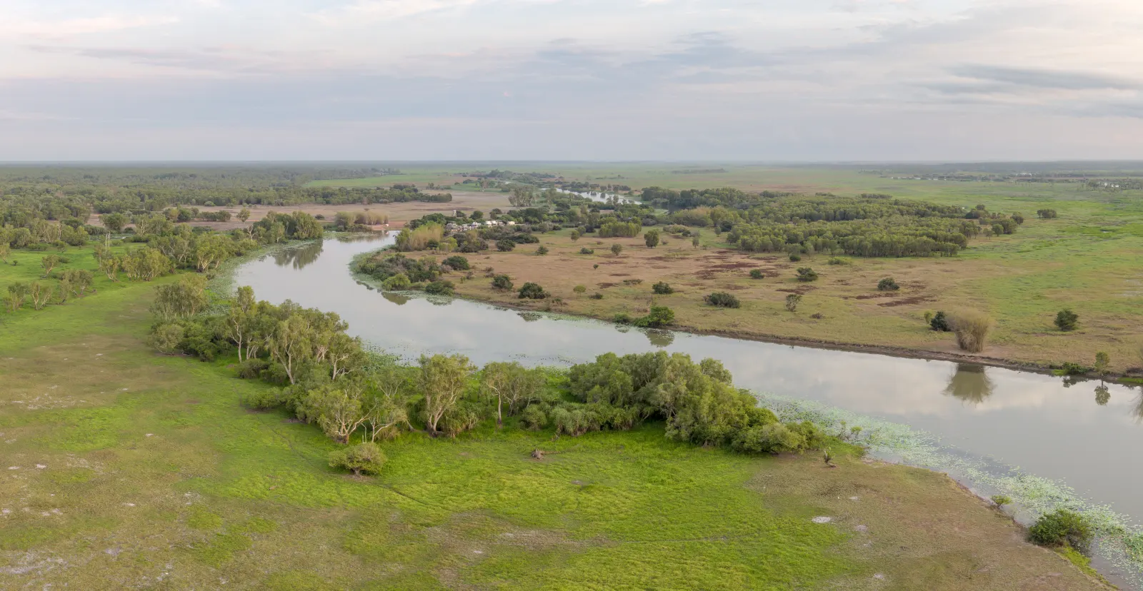 An aerial morning view of Corroboree Billabong winding across the floodplain
