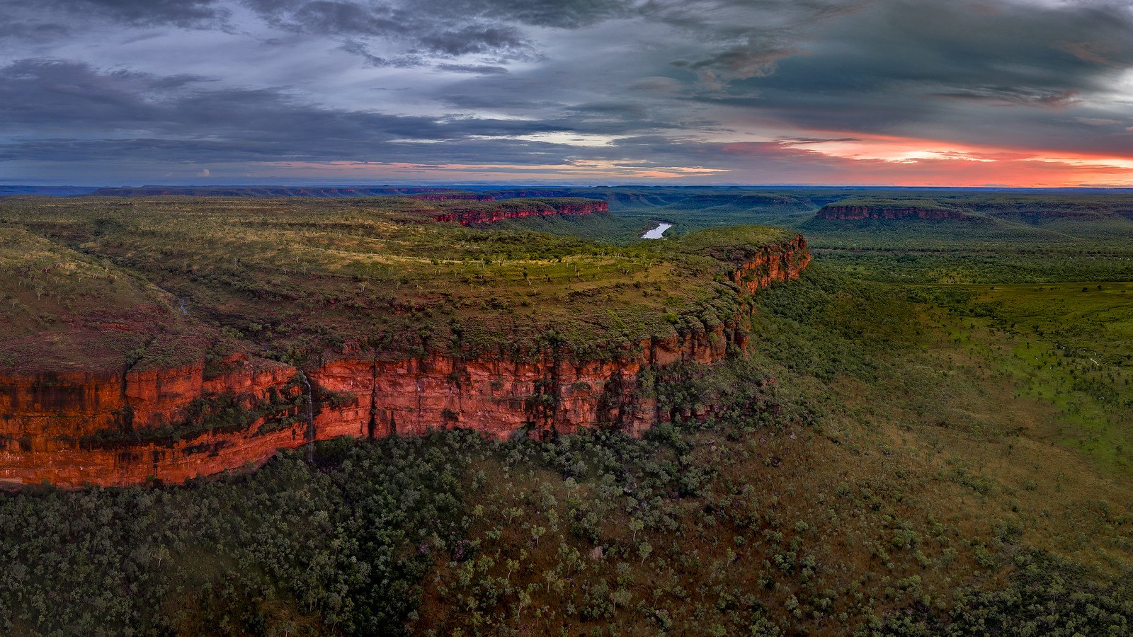WILDFOTO wall-art image