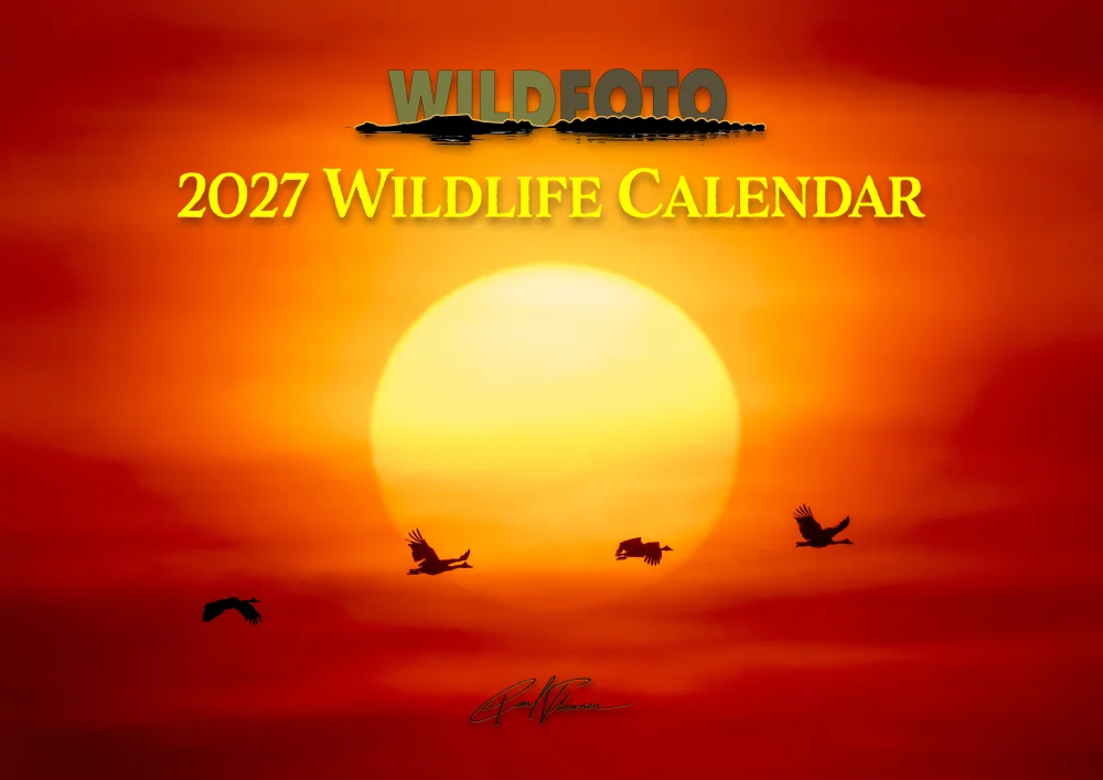2027 A3 WILDFOTO Calendar
